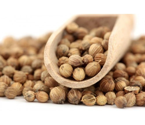 Hạt mùi - Ngò hạt